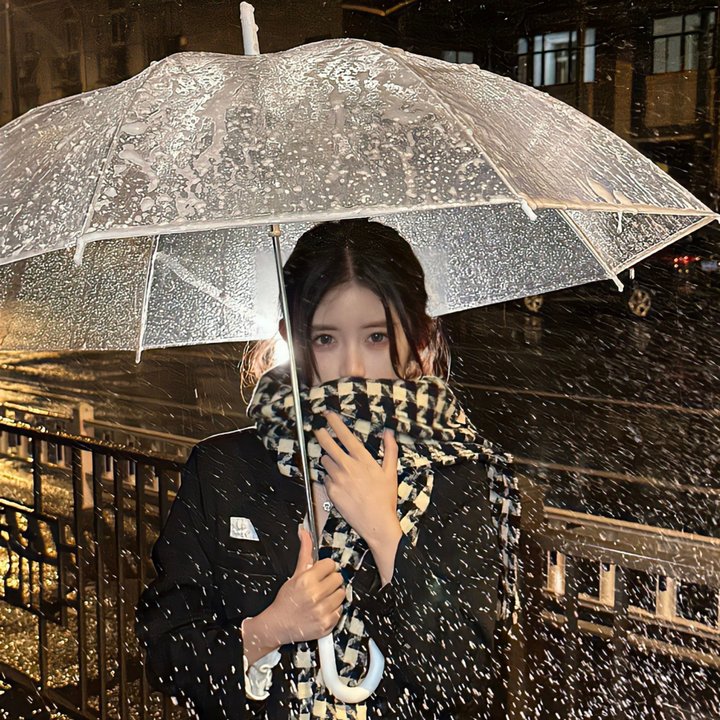 十二夜 国语 封面