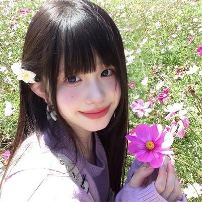 风临樱花开 封面
