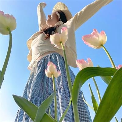 圣地可可西里 封面